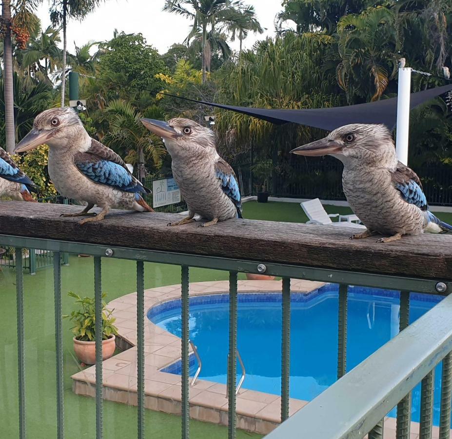 Magnetic Island Resort, Sleeps 3, Free Wifi خليج نيللي المظهر الخارجي الصورة